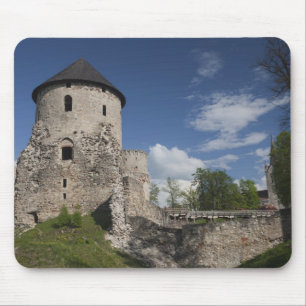 Letland, Noordoost-Letland, Vidzeme Regio, 3 Muismat