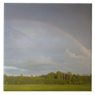 Letland, Noordoost-Letland, Vidzeme Regio, 5 Tegeltje