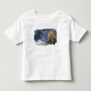 Letland, Noordoost-Letland, Vidzeme Regio, Kinder Shirts