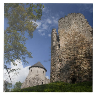 Letland, Noordoost-Letland, Vidzeme Regio, Tegeltje