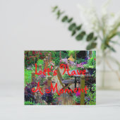 Let's Have A Moment Postcard Briefkaart (Staand voorkant)