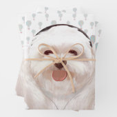 Let's Music Inpakpapier Vel (In situ)