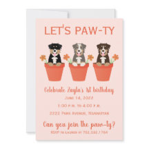 Lets Pawty Australian Shepherd Dogs
