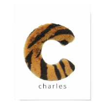 Letter C tijgerbont