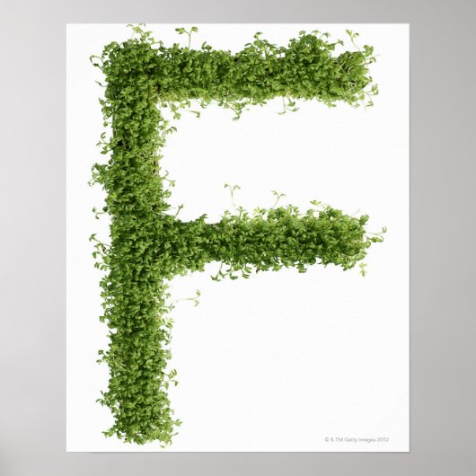 letter F in het midden op witte achtergrond, Poster (Voorkant)