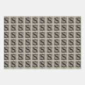 Letter S  Celtic Knot Monogram Inpakpapier Vel (Voorkant 3)