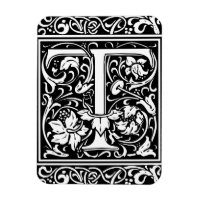 Letter T Middeleeuwse Monogram Art Nouveau