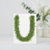 letter 'U' in het midden op witte achtergrond, Briefkaart (Staand voorkant)