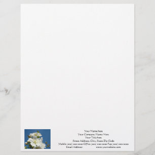 Letterhead Cherry Blossom Blue Sky aangepast Gepersonaliseerd Briefhoofd