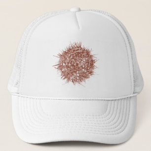 Letterpress Chileens Zee Urchin (Loxechinus albus) Trucker Pet
