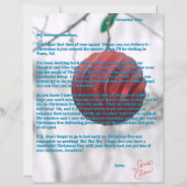 Letters from Santa Tweens Red Ornament Green (Voorkant)