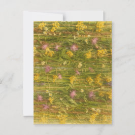 Lettische wilde bloemen – Natuur behouden Briefkaart