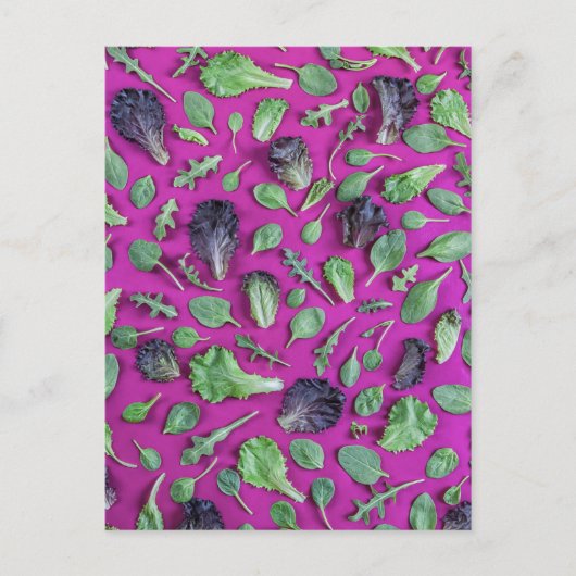Lettuce Greens op Paars Briefkaart (Voorkant)