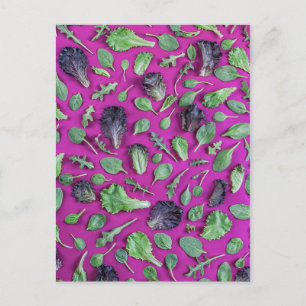 Lettuce Greens op Paars Briefkaart