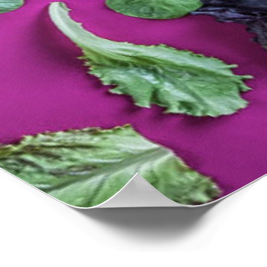 Lettuce Greens op Paars Poster (Hoek)
