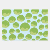 Lettuce Pattern Inpakpapier Vel (Voorkant 3)
