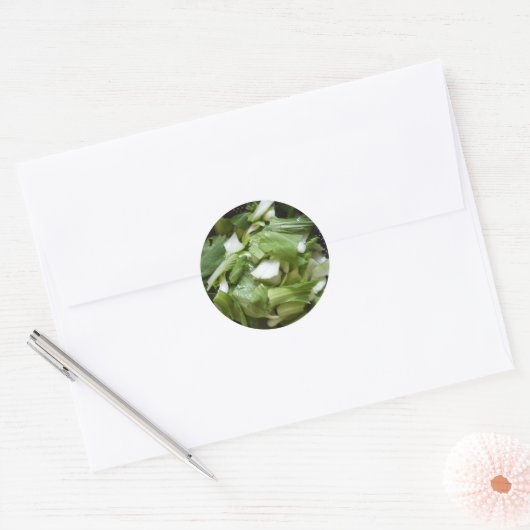 Lettuce Salad Ronde Sticker (Envelop)