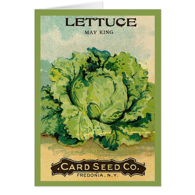 Lettuce Seed Pack (Voorkant)