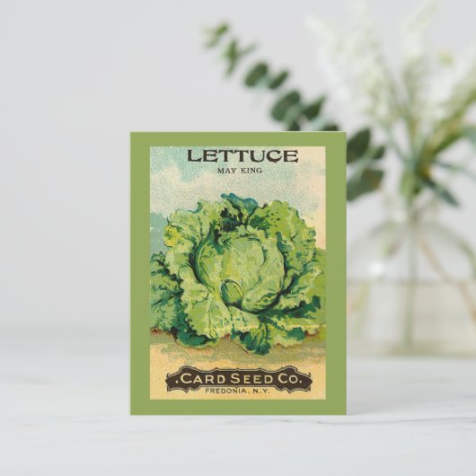 Lettuce Seed Pack Briefkaart (Staand voorkant)