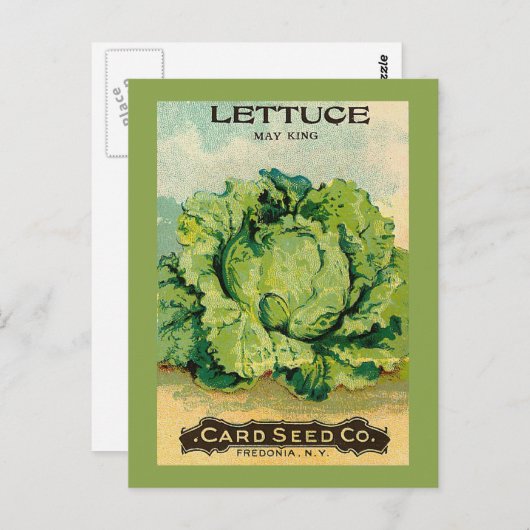 Lettuce Seed Pack Briefkaart (Voorkant / Achterkant)