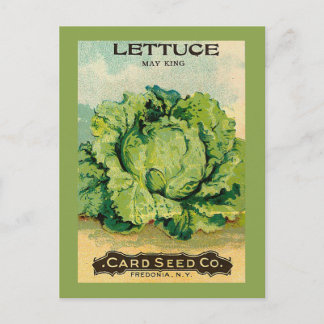 Lettuce Seed Pack Briefkaart