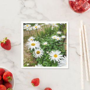 Leucanthemum bloeit papieren servetten