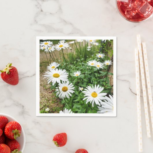 Leucanthemum bloeit papieren servetten (Insitu)