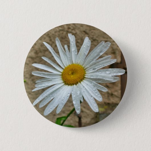 Leucanthemum Bloom Badge Ronde Button 5,7 Cm (Voorkant)