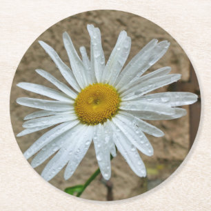 Leucanthemum Bloom Ronde Kartonnen Onderzetter