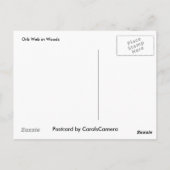 Leucauge Orb Web Briefkaart (Achterkant)