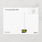 Leucauge Spider Web Briefkaart (Achterkant)