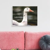 Leucistic Canadian Goose Canvas Afdruk (Insitu (Woonkamer))