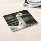 Leucistic Canadian Goose Kartonnen Onderzetters (Schuin)