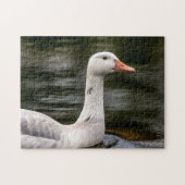Leucistic Canadian Goose Legpuzzel (Horizontaal)