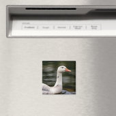 Leucistic Canadian Goose Magneet (Insitu (Vaatwasser))