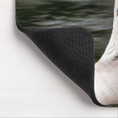 Leucistic Canadian Goose Muismat (Hoek)
