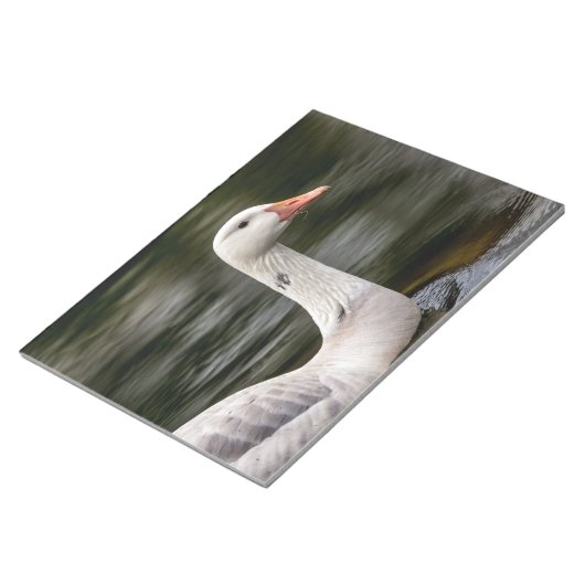 Leucistic Canadian Goose Notitieblok (Schuin)