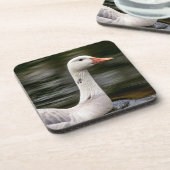 Leucistic Canadian Goose Onderzetter (Linkerzijde)