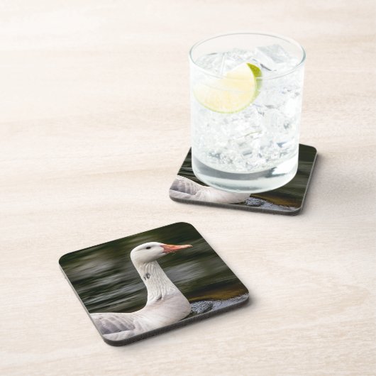 Leucistic Canadian Goose Onderzetter (Rechterzijde)