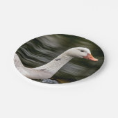 Leucistic Canadian Goose Papieren Bordje (Gekanteld)