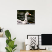 Leucistic Canadian Goose Poster (Thuiskantoor)