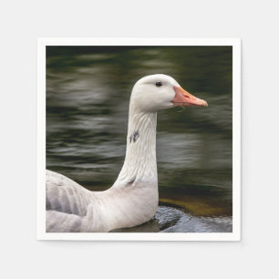 Leucistic Canadian Goose Servetten