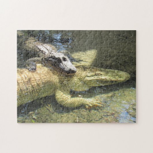 Leucistic Gator en Friend Puzzle Legpuzzel (Horizontaal)