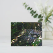 Leugauge Orb Web Briefkaart (Staand voorkant)