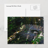 Leugauge Orb Web Briefkaart (Voorkant / Achterkant)