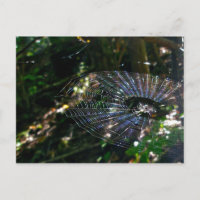 Leugauge Orb Web Briefkaart