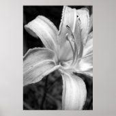 leugenaar poster (Voorkant)