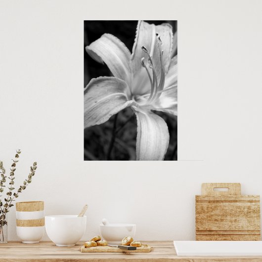 leugenaar poster (Keuken)