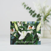 leugenaars briefkaart (Staand voorkant)