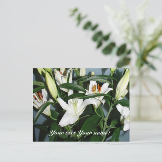 leugenaars briefkaart (Staand voorkant)